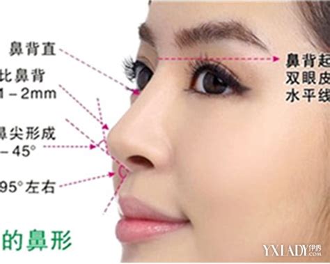 【图】中国人的鼻子类型 教你怎么看鼻子辨种族_中国人的鼻子类型_伊秀美容网|yxlady.com