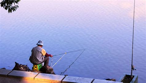 夏季清晨钓鱼，钓位和饵料的选择技巧_钓鱼人必看