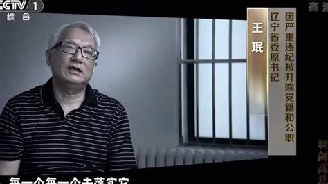 辽宁原省委书记王珉：我当过两省书记，全国没几个，以为不会查我_腾讯视频