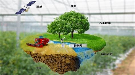 淄博市公布15家智慧农业应用基地