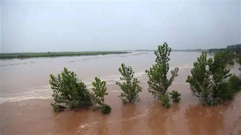 广西河池龙江河洪水超警 金城江城区多地被淹-图片频道