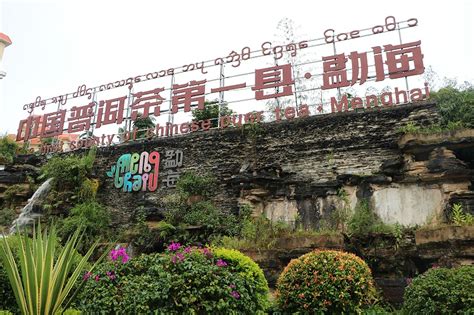 勐海县作为中国普洱茶第一县是否名至实归？叶片情茶业