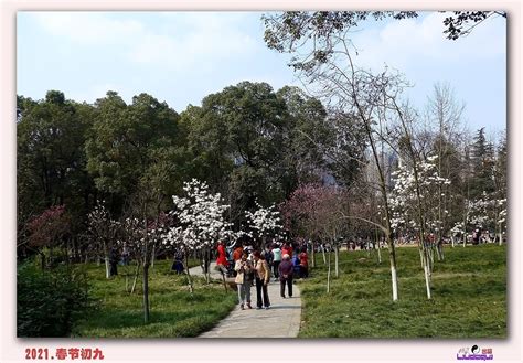 2021春节初九游园记-中关村在线摄影论坛