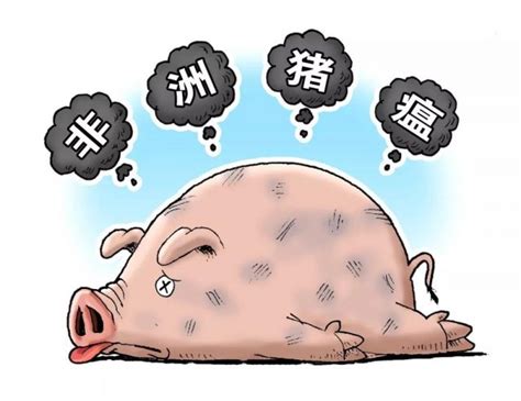 2019年4季度猪价为什么可能出现较大幅度的上涨？ – 69农业规划设计.兆联顾问公司