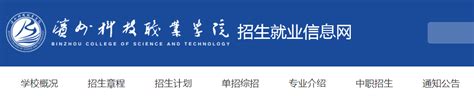 滨州专业网站建设-网站seo优化-网络推广公司-狼途腾科技