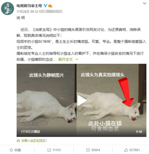 新瑞鹏回应虐猫事件：猫咪状态良好、涉事员工已被开除-新闻频道-和讯网