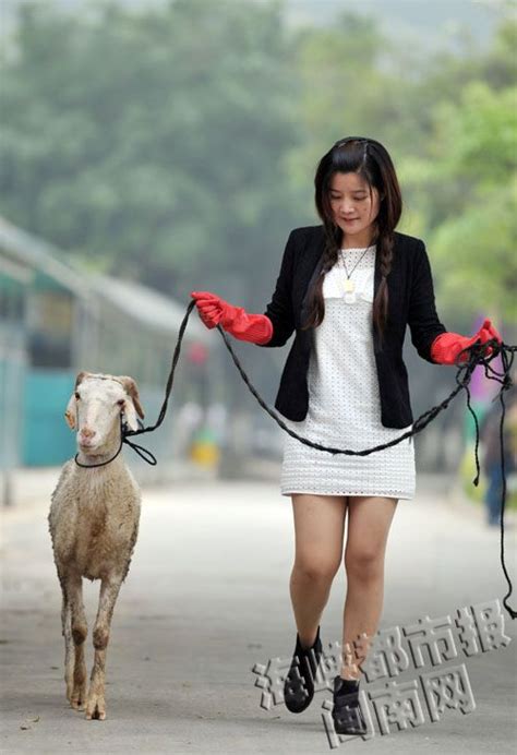 泉州姑娘街头刀下救羊 踏上美女与羊的奇幻之旅 - 城事要闻 - 东南网泉州频道