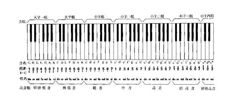 61键电子琴伴奏区_61键电子琴区是怎么分的 - 早旭经验网