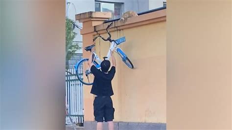 猫咪被困墙头，男子举起共享单车救下_七环视频_澎湃新闻-The Paper