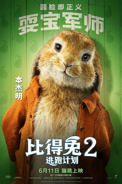 《比得兔2：逃跑计划》先导预告海报双发 原班人马再掀吸兔狂潮 - 360娱乐，你开心就好