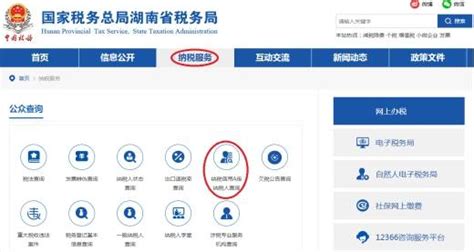 湖南税务局网站官网