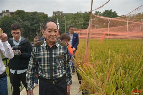 袁隆平让2.8亿亩盐碱地长出水稻 却被人喷10个他抵不上一个思想家 - 知乎
