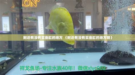 附近有没有买鱼缸的地方（附近有没有买鱼缸的地方啊） - 祥龙水族医院 - 广州观赏鱼批发市场