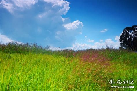 抓住夏天的尾巴，带你去一起看青青的草场蓝蓝的天 -社会民生 - 东南网宁德频道