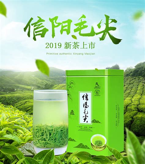 茶叶产品招商手册|平面|宣传品|赵梦冬1127 - 原创作品 - 站酷 (ZCOOL)