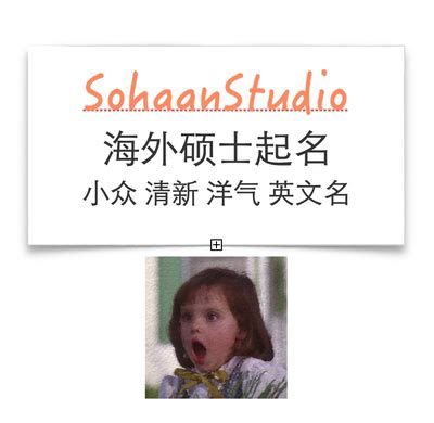 Sohaan英文名起名宝宝公司品牌店铺商标出国留学谐音设计取英文名-淘宝网