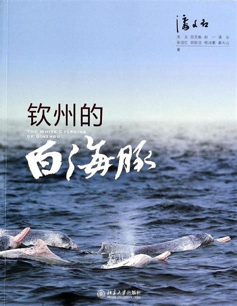 中华白海豚是一种怎样的动物，它们的现状如何？