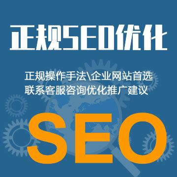 整站SEO关键词快速排名优化正规SEO非快排百度360搜狗谷歌推广-淘宝网