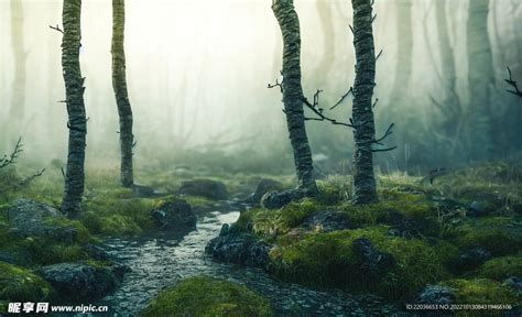 做雾海中的旅行者，穿越森林抵达秘境 - 黎明觉醒：生机资讯-小米游戏中心