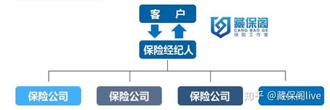 香港保险经纪牌照申请流程,办理香港保险经纪公司需要条件_汇域国际商务有限公司