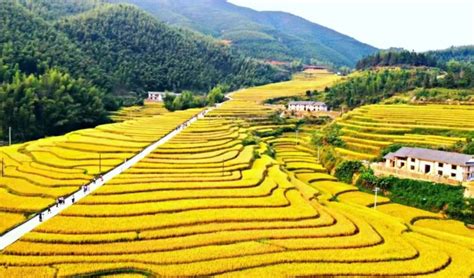 江西赣州：美丽乡村-人民图片网