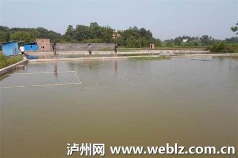 北塘街道大力发展水产养殖 助力乡村振兴