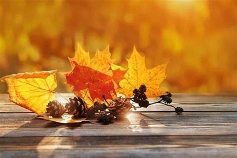 秋天的好句又短又好,描写秋天的简短好句,描写秋天的句子_大山谷图库