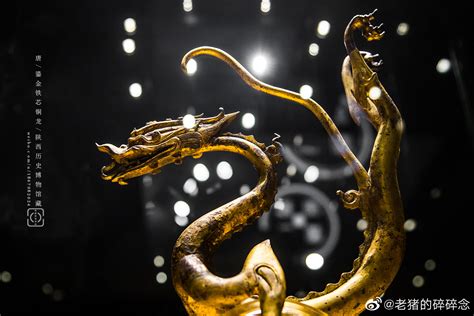 这是一条唐朝的龙，龙体为铜质，铜内包铁芯，表面通体鎏金