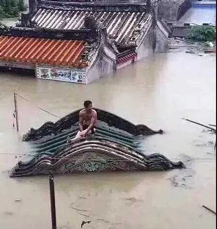 【点赞】洪水就是命令 土左旗警方成功营救被山洪围困的9名人员和6辆汽车
