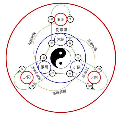 易经诠释的宇宙自然人生 - 人生科学 - 中国传统文化网