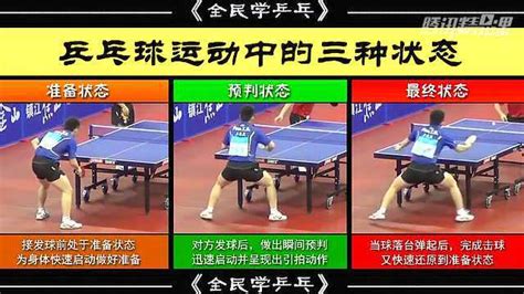 世界杯乒乓球大赛直播_腾讯视频