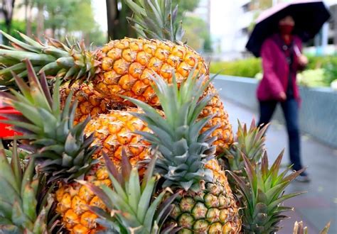 大陆暂停进口台湾菠萝
