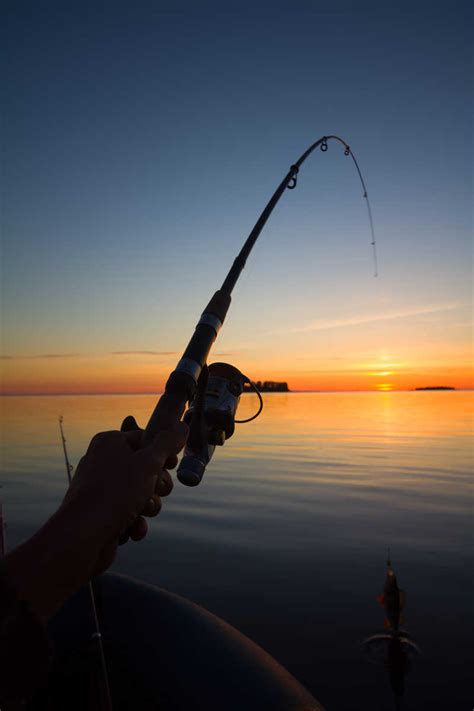 夏天钓鱼应该钓深水还是浅水-百度经验