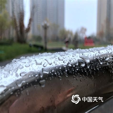北京下雪啦！一组图直击北京多地降雪现场_凤凰网