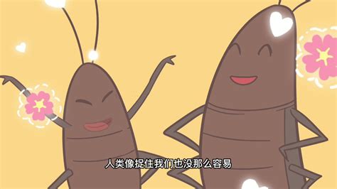 我们是害虫，为什么说蟑螂是打不死的小强_腾讯视频