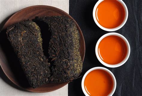 【茶文化】 黑茶的花式泡饮方法