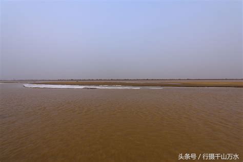 魅力东营-黄河入海口，多姿多彩休闲的湿地之城__财经头条