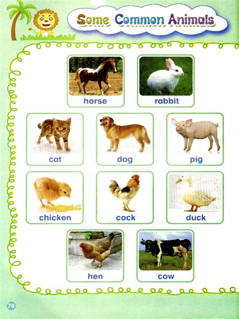 动物的分类图