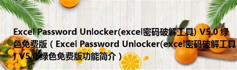 Excel Password Unlocker(excel密码破解工具) V5.0 绿色免费版下载_当下软件园