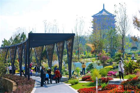 信阳市城市道路绿化景观规划设计_武汉乐道创景