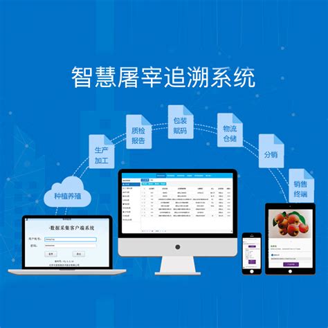 上海科技党建-市科技团工委赴上海科学院上海软件中心调研科技青年工作