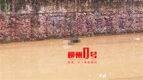 悲剧！柳州有人倒在积水里不幸身亡...雒容该处水深曾超2米，水退才被发现！