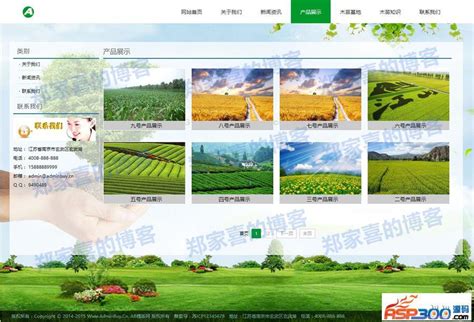 苗木推广和销售哪个网站好-致富经-中国花木网
