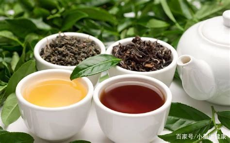 茶科普 冬日喝茶 | 带你走进六大茶类特性二：如何形容红茶和黑茶_凤凰网视频_凤凰网