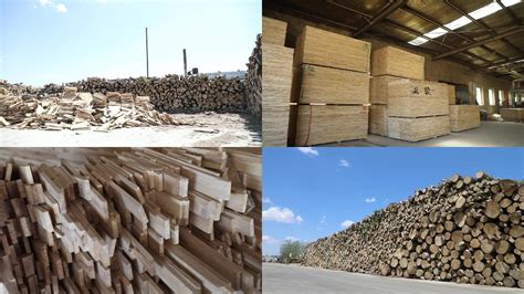 木材厂摆放整齐的木材高清图片下载-正版图片600071984-摄图网