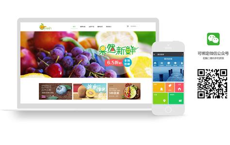 FRESH蔬果-潮州市韩家网络科技有限公司|潮州网站建设|潮州活动策划|潮州网络营销