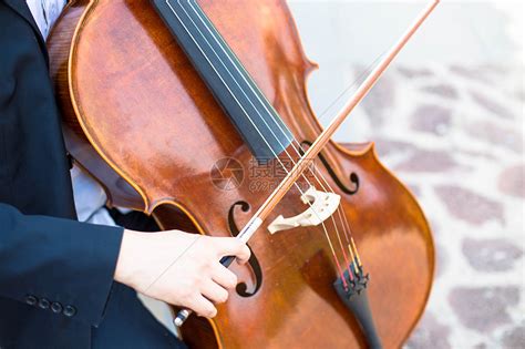 小提琴 - 素材公社 tooopen.com