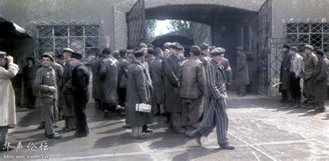 二战期间，全球三分之一的犹太人，在毒气室和纳粹集中营中被杀害_凤凰网视频_凤凰网