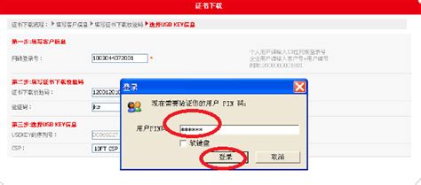 中国银行USBKey管理工具下载2024官方最新版_中国银行USBKey管理工具免费下载安装_星动下载