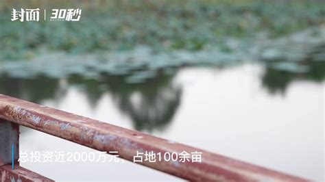 深圳市宝安区老虎坑水整治提升见成效 昔日臭水沟变身休闲运动“打卡地”-国际环保在线